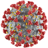A photo of the Covid virus - Delta