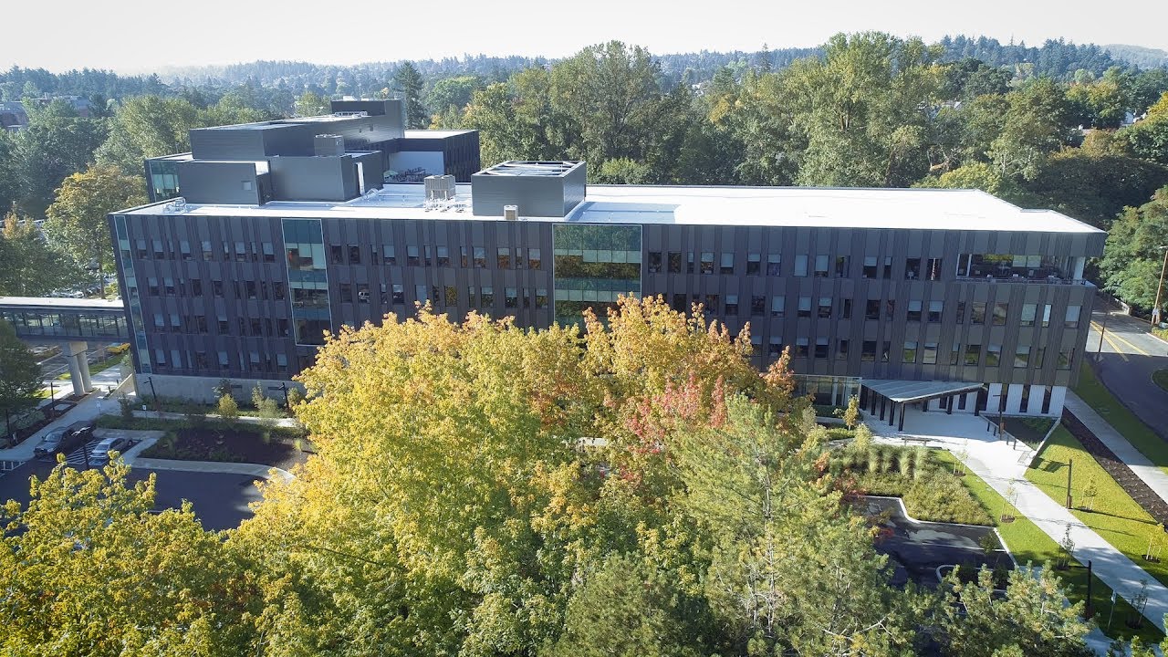 about saif video thumbnail